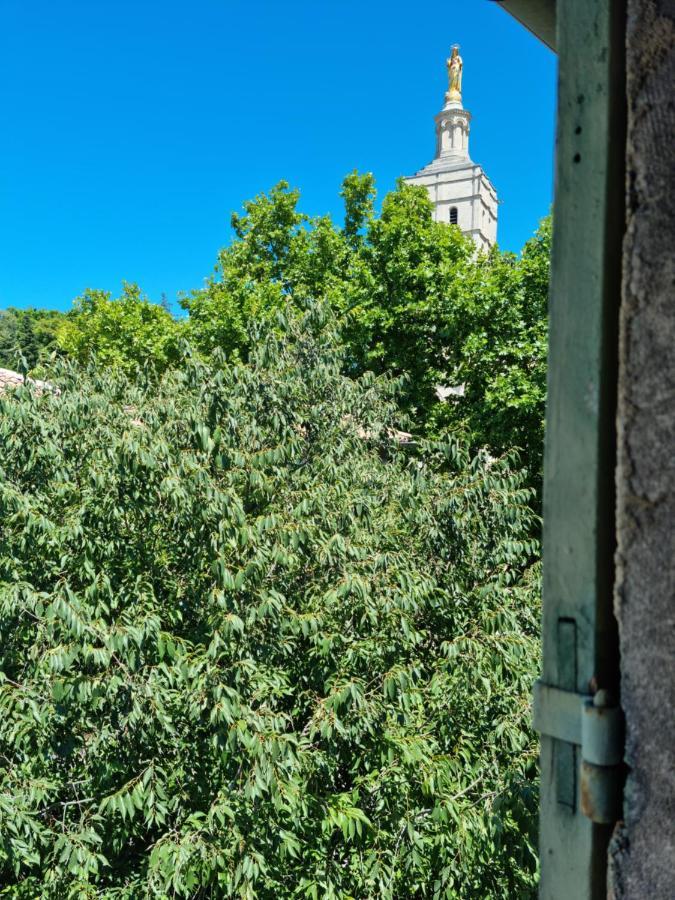 亞維農Un Nid Sur Les Toits Face Au Palais Des Papes公寓 外观 照片
