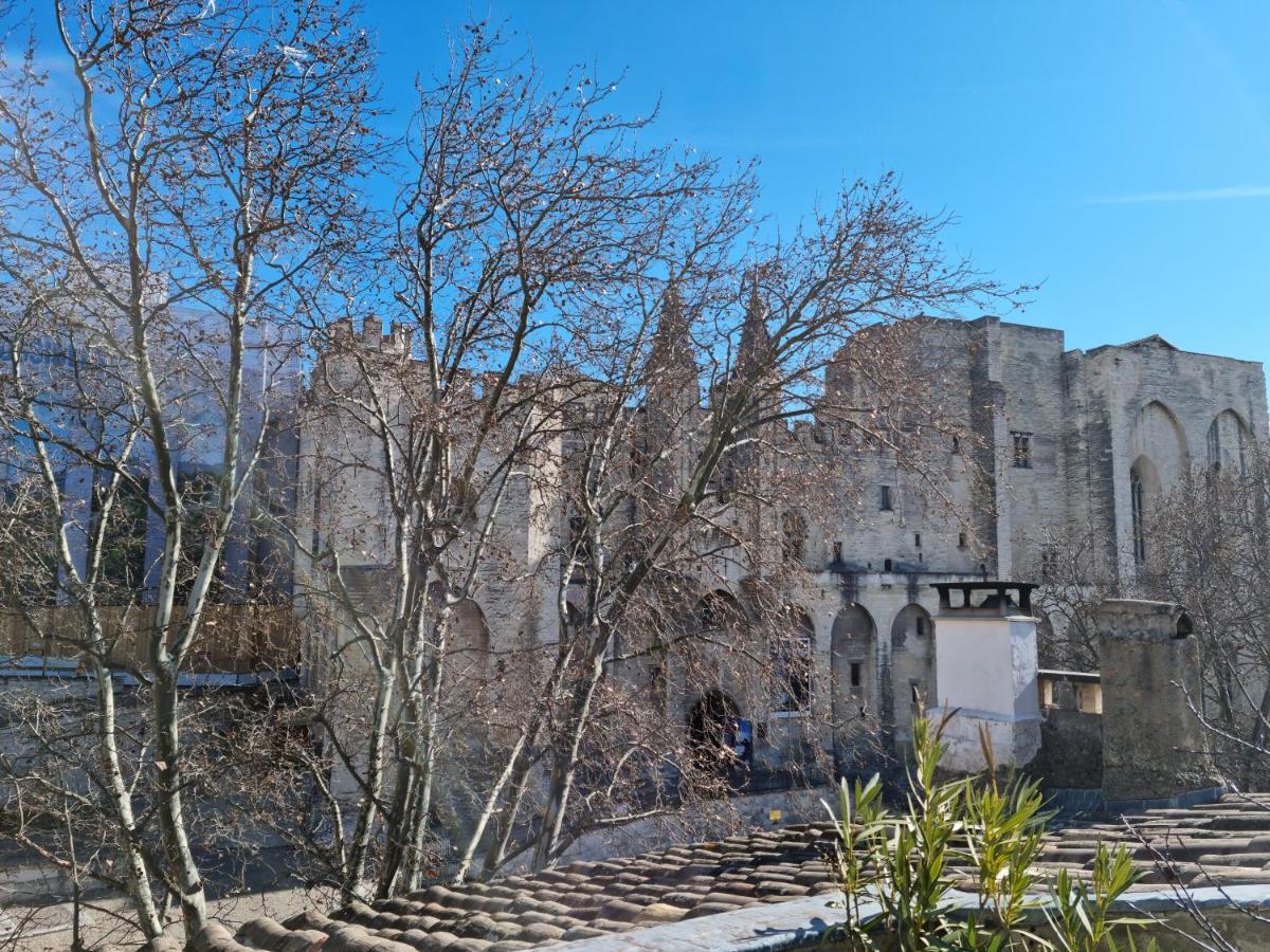 亞維農Un Nid Sur Les Toits Face Au Palais Des Papes公寓 外观 照片