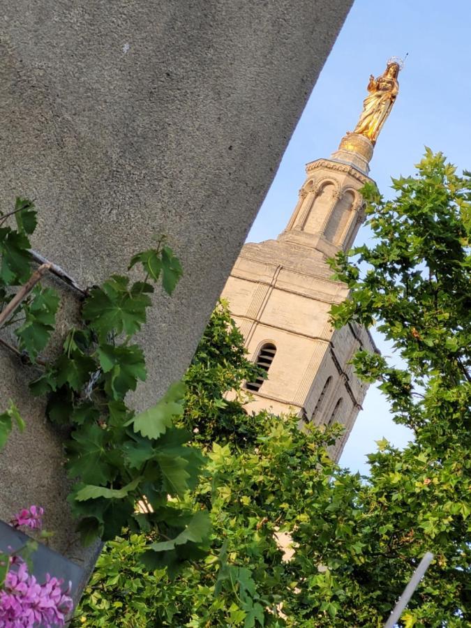 亞維農Un Nid Sur Les Toits Face Au Palais Des Papes公寓 外观 照片