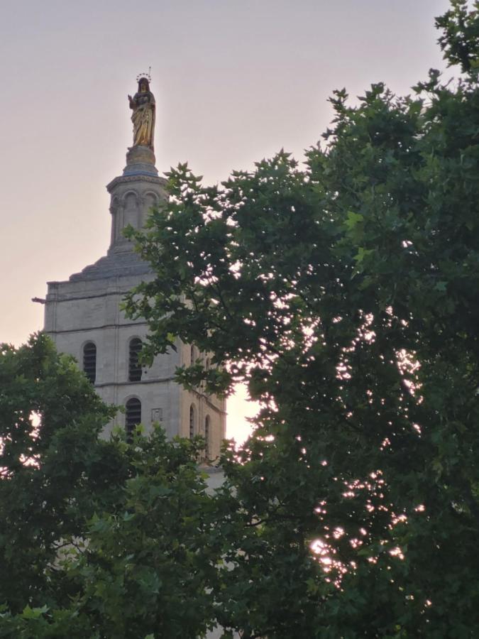 亞維農Un Nid Sur Les Toits Face Au Palais Des Papes公寓 外观 照片