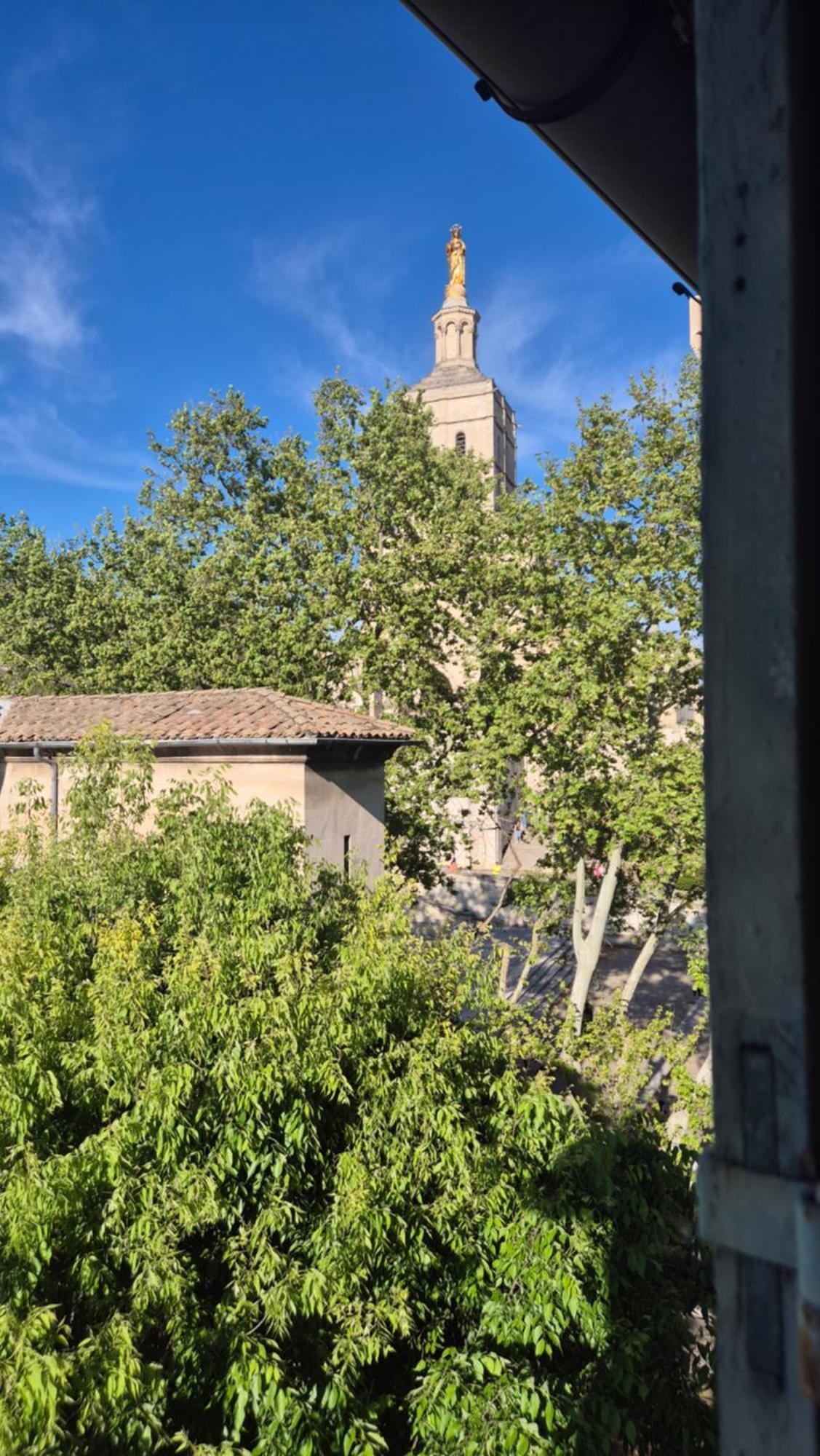 亞維農Un Nid Sur Les Toits Face Au Palais Des Papes公寓 外观 照片